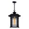 Cwi Lighting Blackburn 1 Light Outdoor Black Pendant 0411P9-1-101 - alternate 4